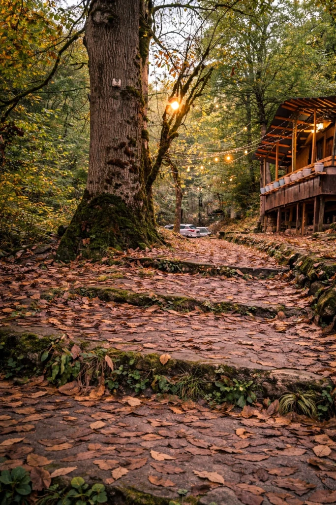 68ed80b1 4bab 473a b7c6 966fddccd46b