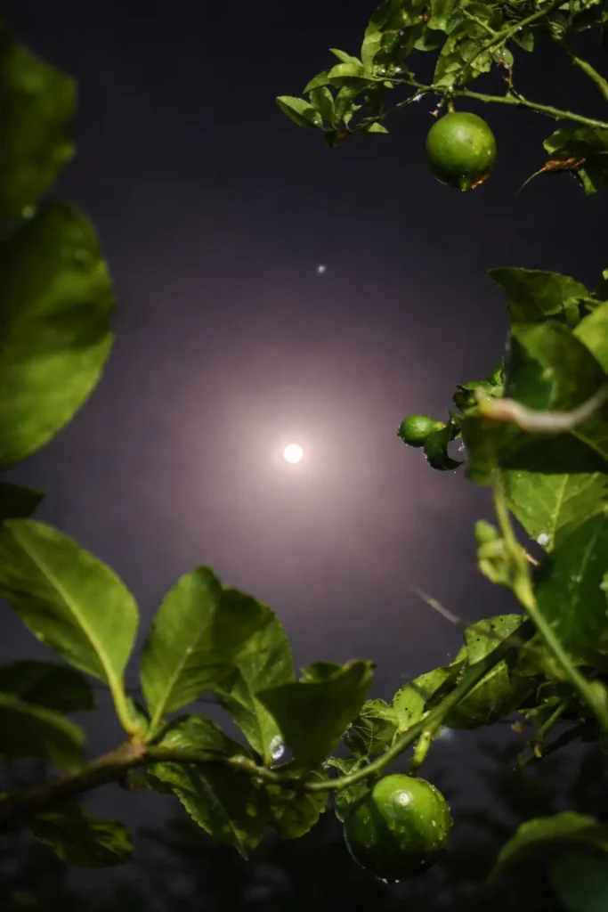 93e26da5 e61c 4bb0 9950 00600140ae37